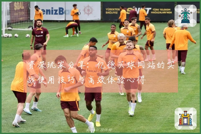 资深玩家分享：亿德买球网站的实战使用技巧与高效体验心得