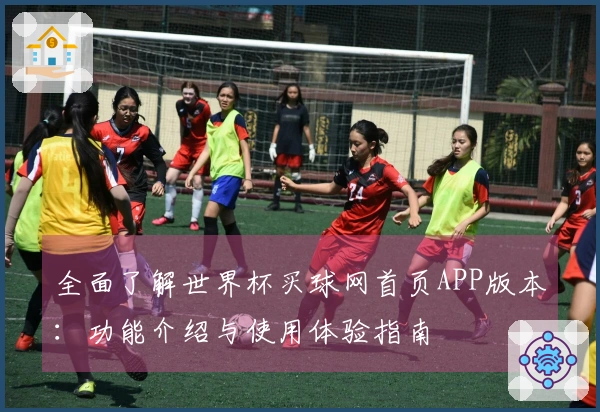 全面了解世界杯买球网首页APP版本：功能介绍与使用体验指南