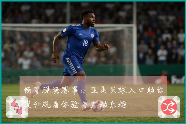 畅享现场赛事，亚美买球入口助你提升观看体验与互动乐趣