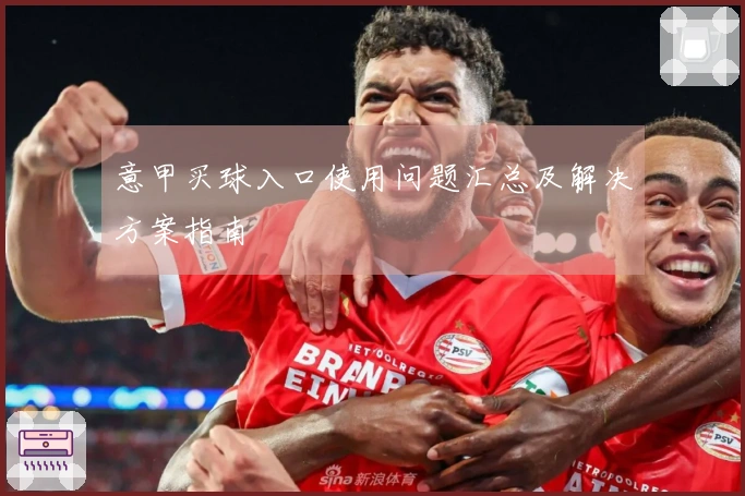 意甲买球入口使用问题汇总及解决方案指南