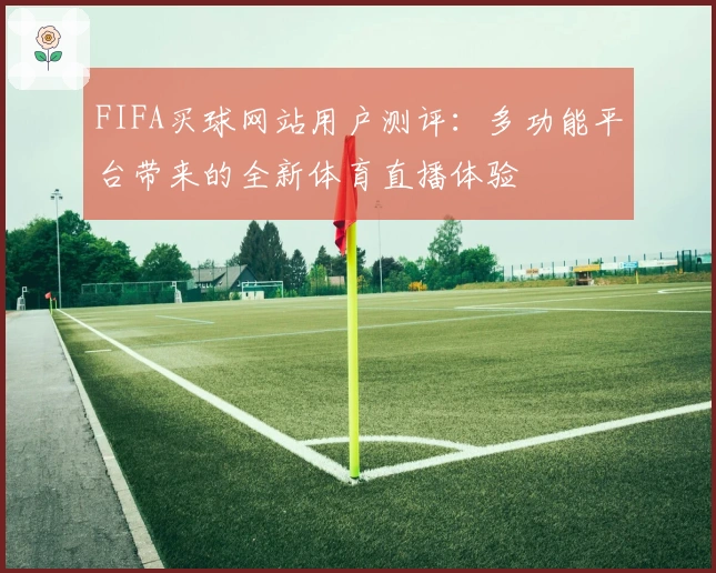 FIFA买球网站用户测评：多功能平台带来的全新体育直播体验