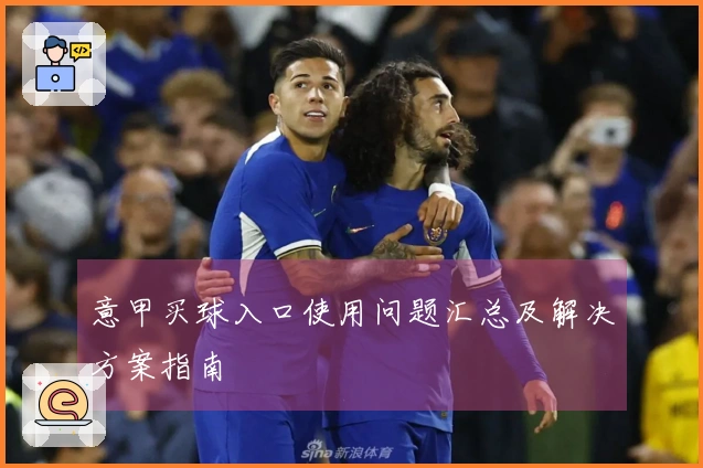 意甲买球入口使用问题汇总及解决方案指南