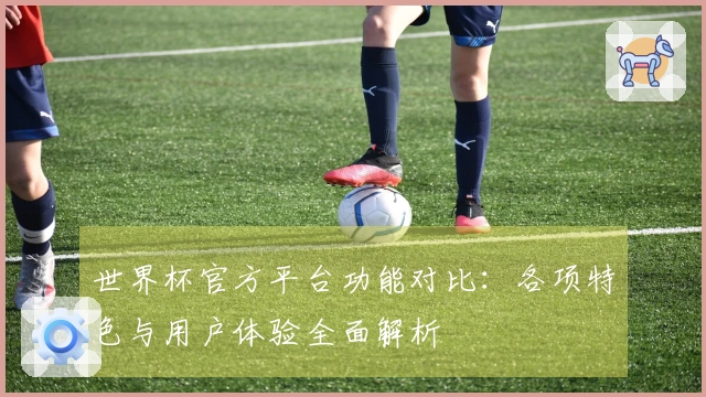 世界杯官方平台功能对比：各项特色与用户体验全面解析