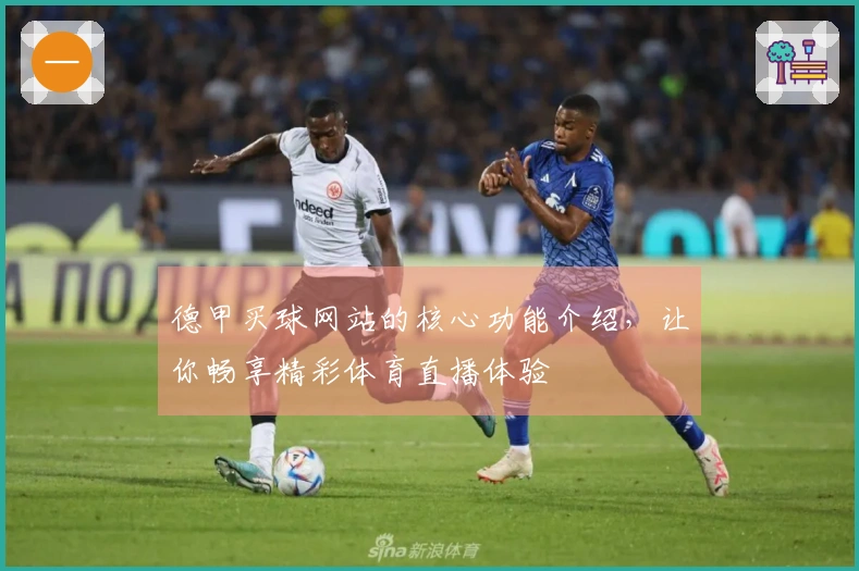 德甲买球网站的核心功能介绍，让你畅享精彩体育直播体验
